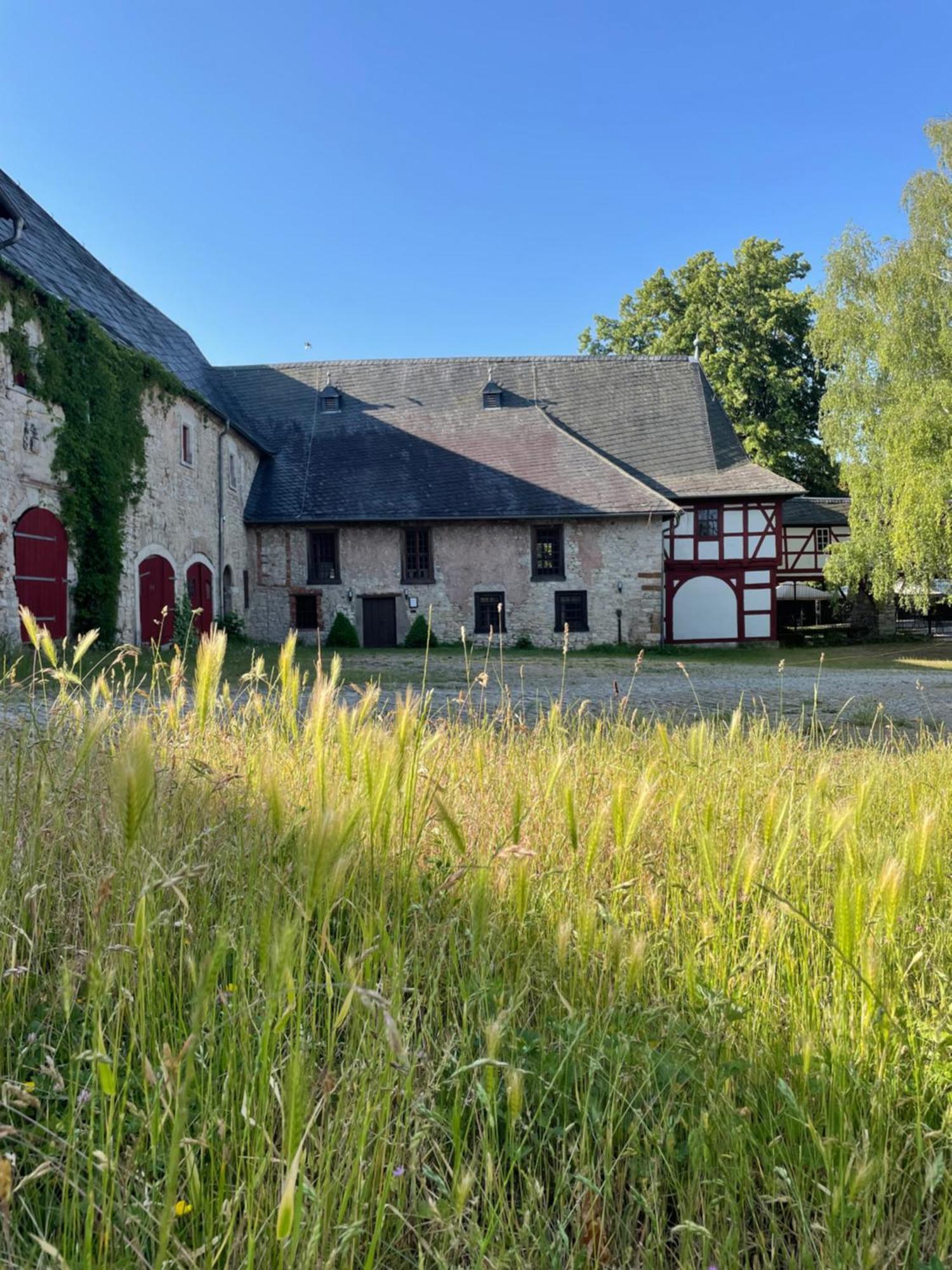 Schloss Beichlingen Exterior foto